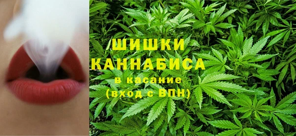 a pvp Новозыбков