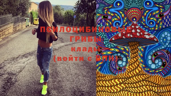 сатива Балабаново