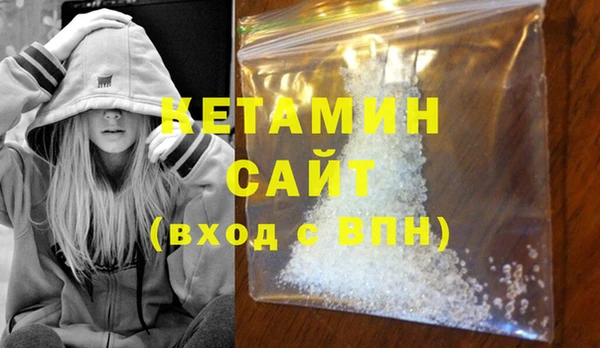 сатива Новодвинск