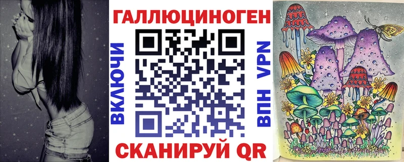OMG ССЫЛКА Валдай Псилоцибиновые грибы Psilocybe